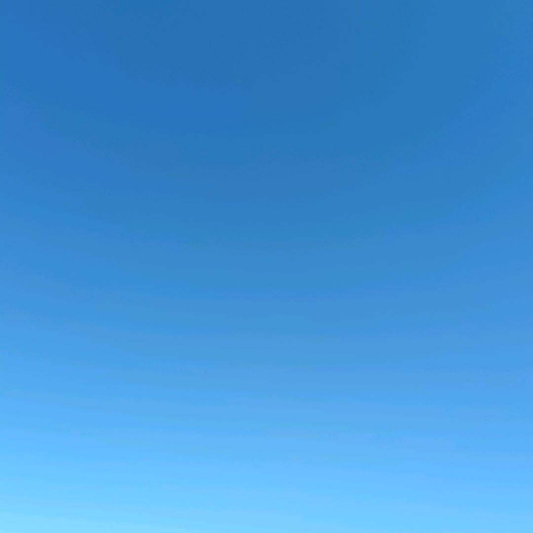 长风破浪会有时