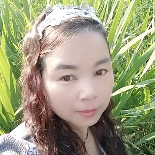 杨春天