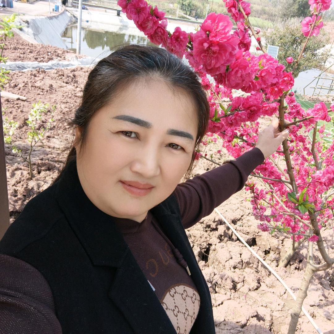 开心果