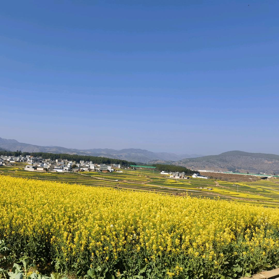 小杨爱骑马