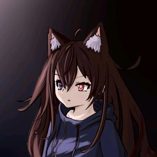 囚舟