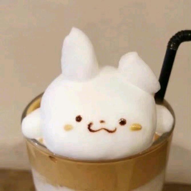 人类猫条魔芋爽