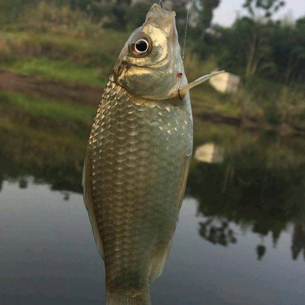 乐畅精品渔具分享店