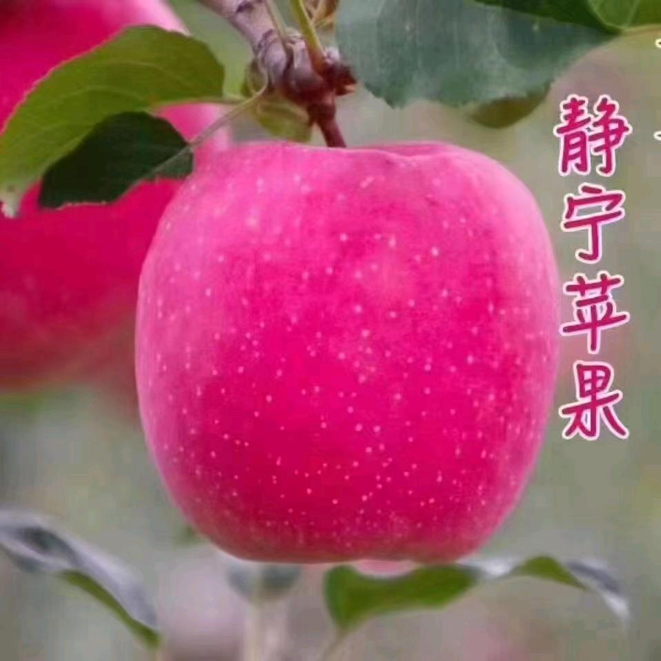 慧