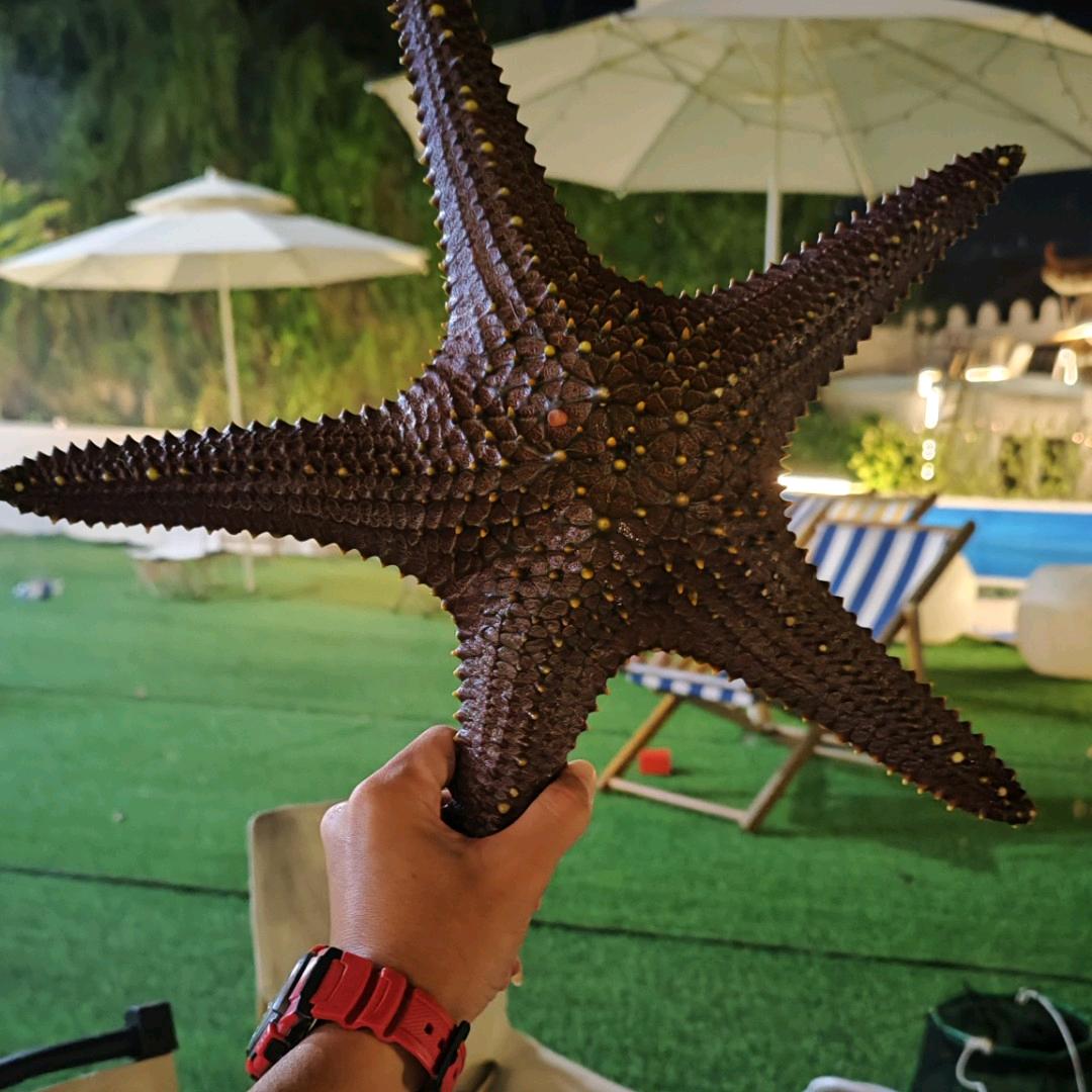 深惠海钓-🎣小刘