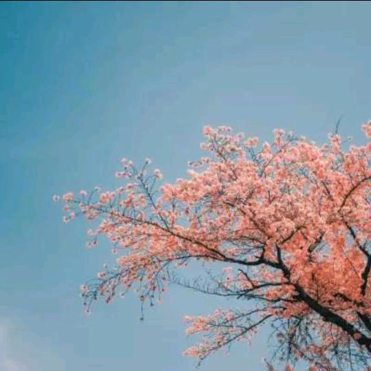 一缕阳光