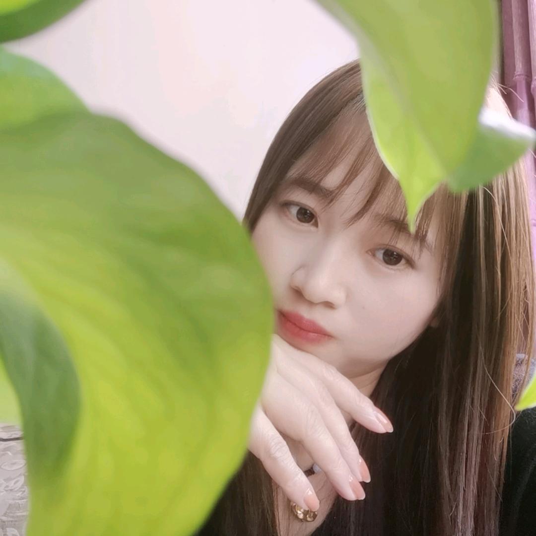 芬