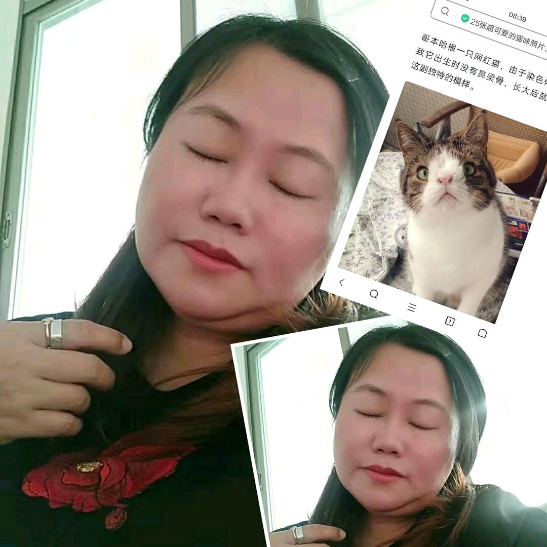 真诚互信yzf卓余