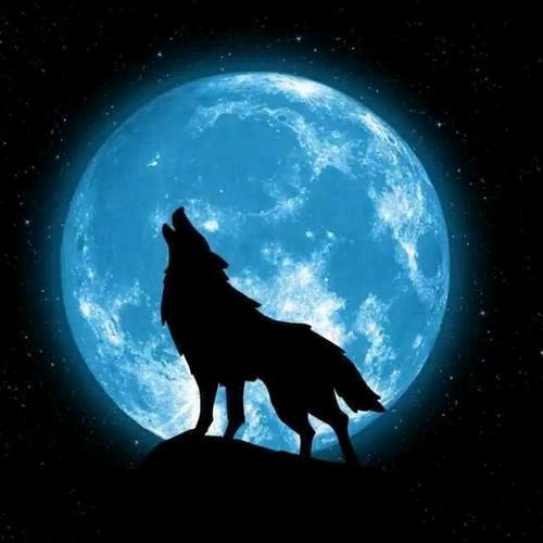 🔥张 先 生💫专业贴砖