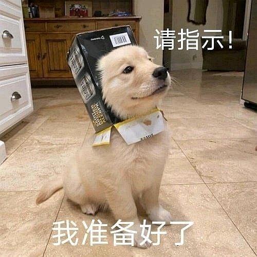 程程多想想头像