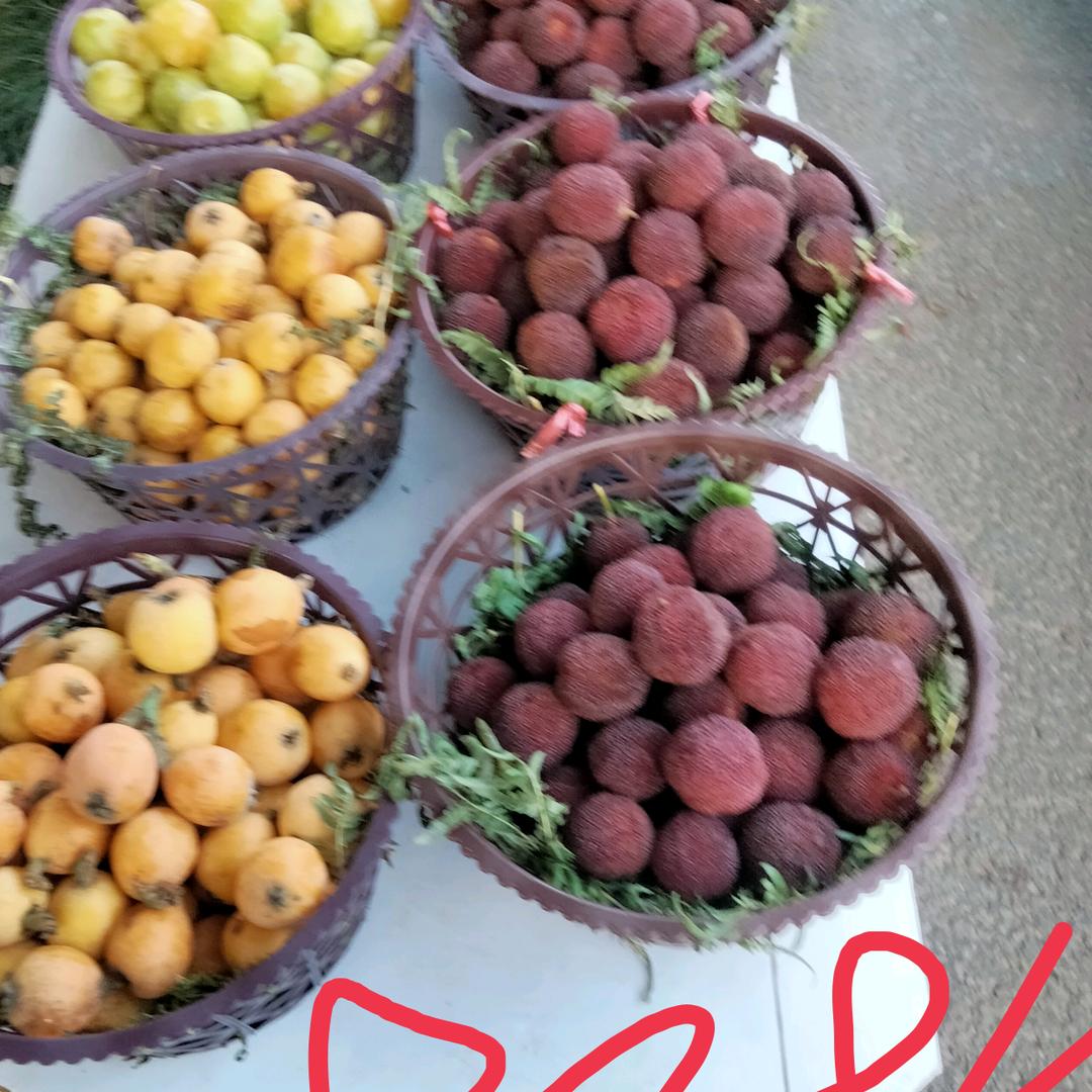 农村人一生平安！