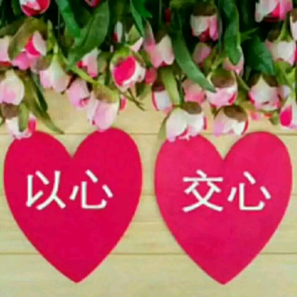 孤狼行