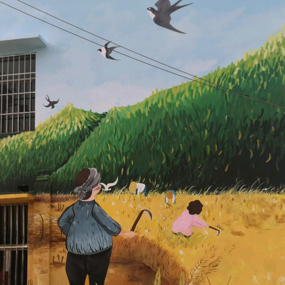 ✨追风少年₍ᐢ..ᐢ₎✨