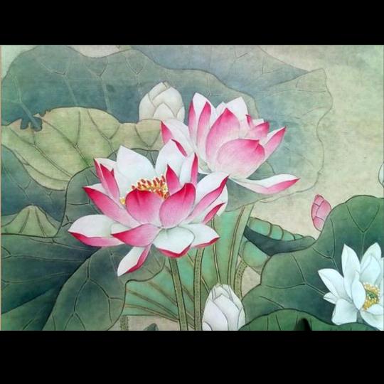 王小华