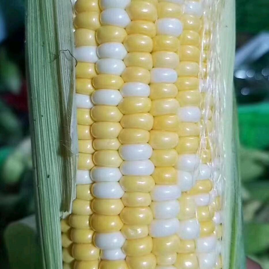 乡味农
