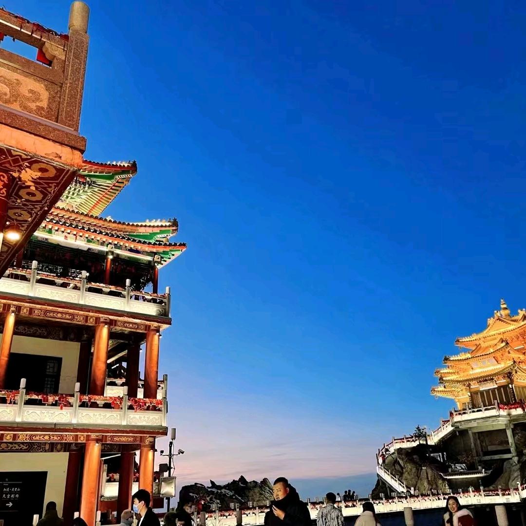 格桑花🌸
