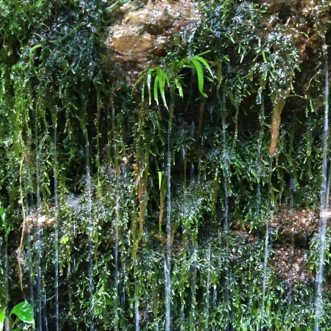 :)╭(╯AWM╰)╮か