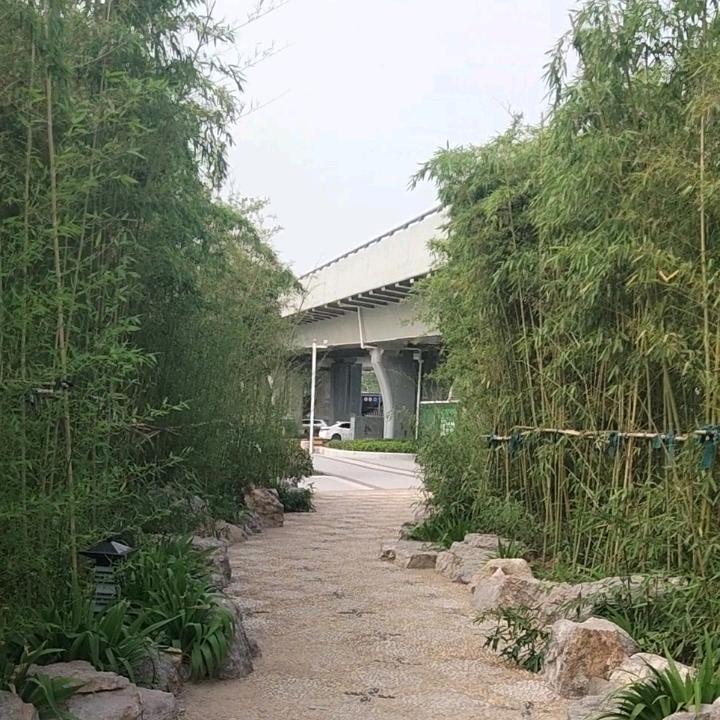 职业修车