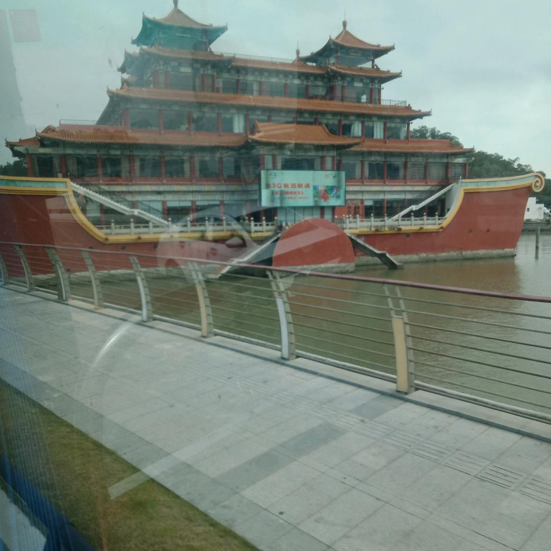 自由飞翔