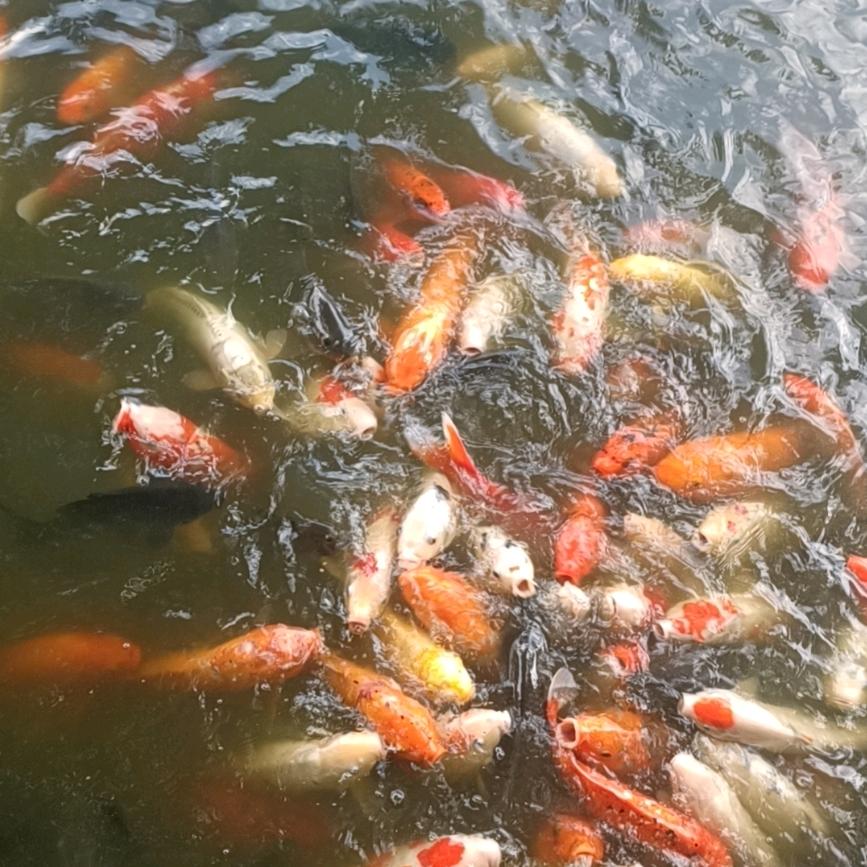 (｡･ω･｡)ﾉ♡光茫万张ᵎ(•̀㉨•❤