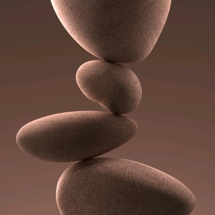 杰秀羽绒