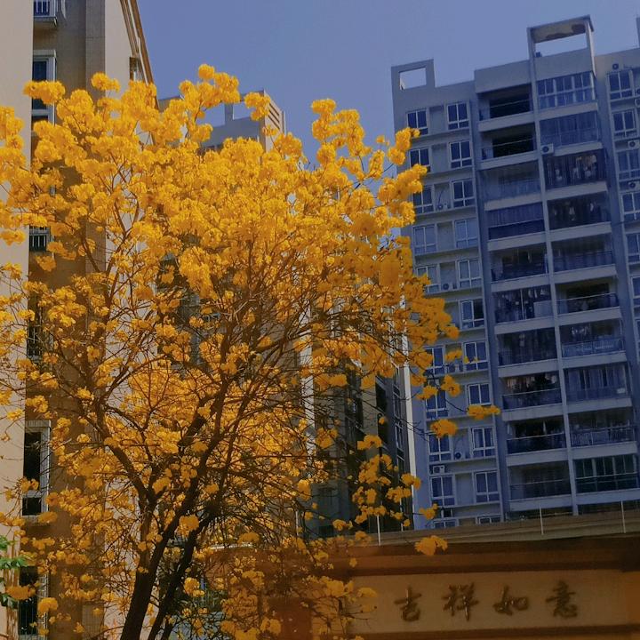 巧巧好物分享