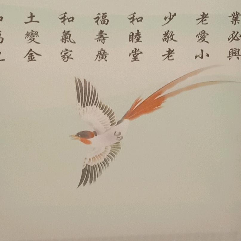 我不要跟那个这个