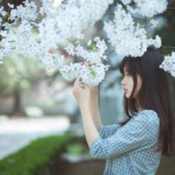 痴心易碎