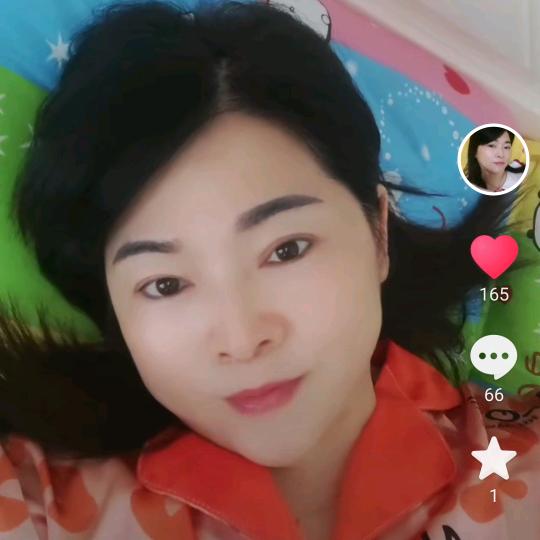 琴