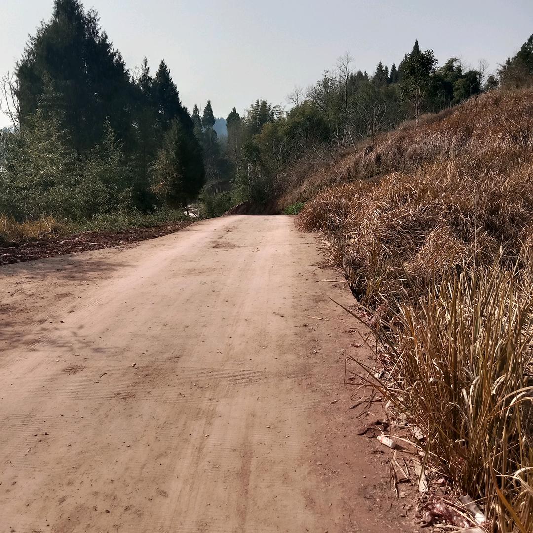 用户7482762288655风青青