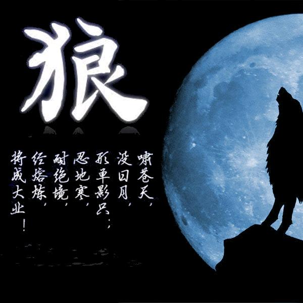 孤獨的狼
