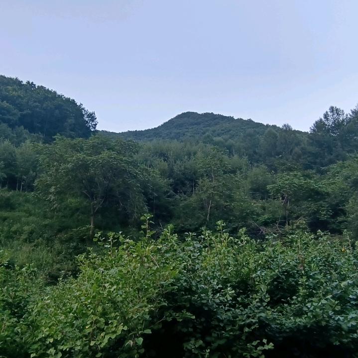 乄名