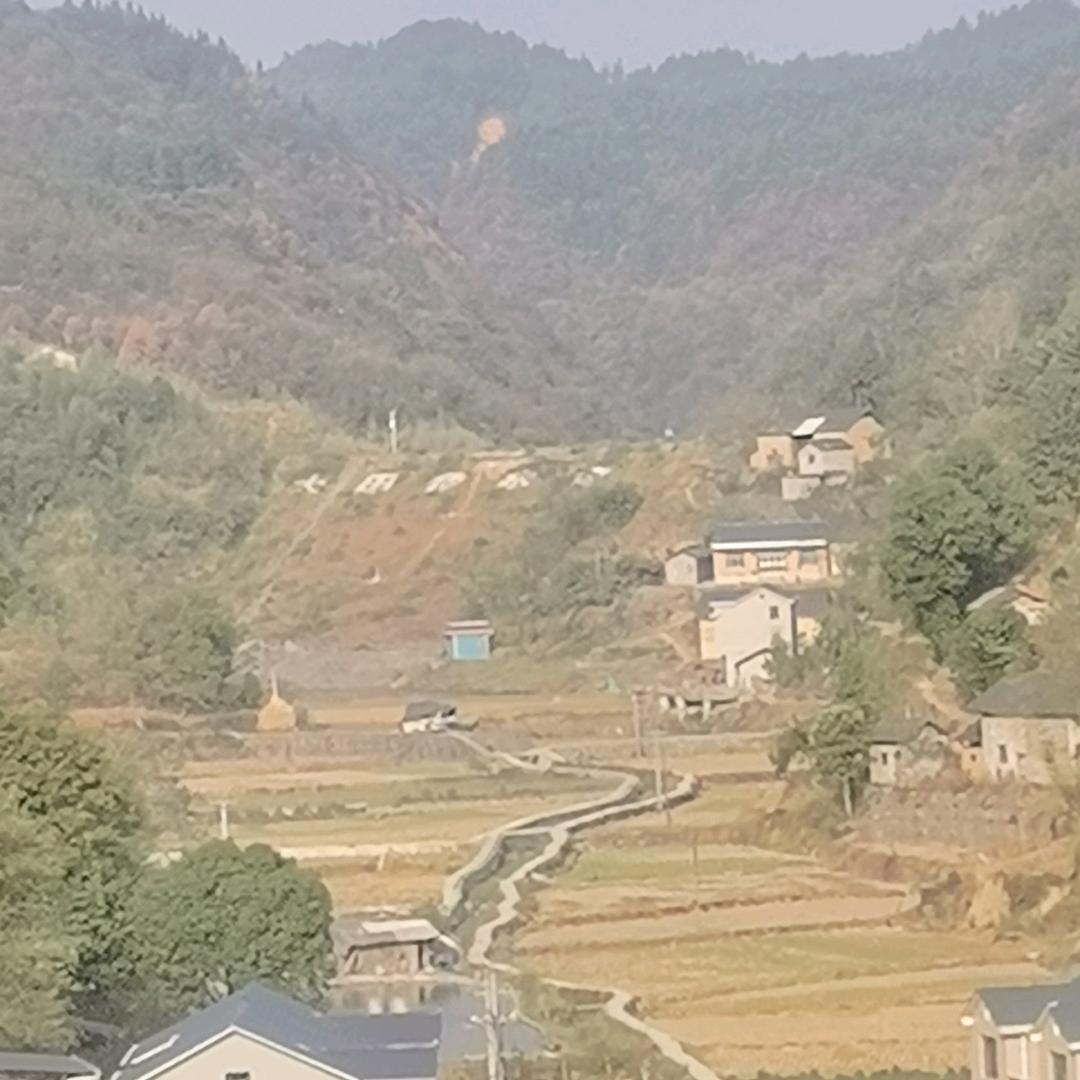 渺茫（拒接连赞）（YANG）