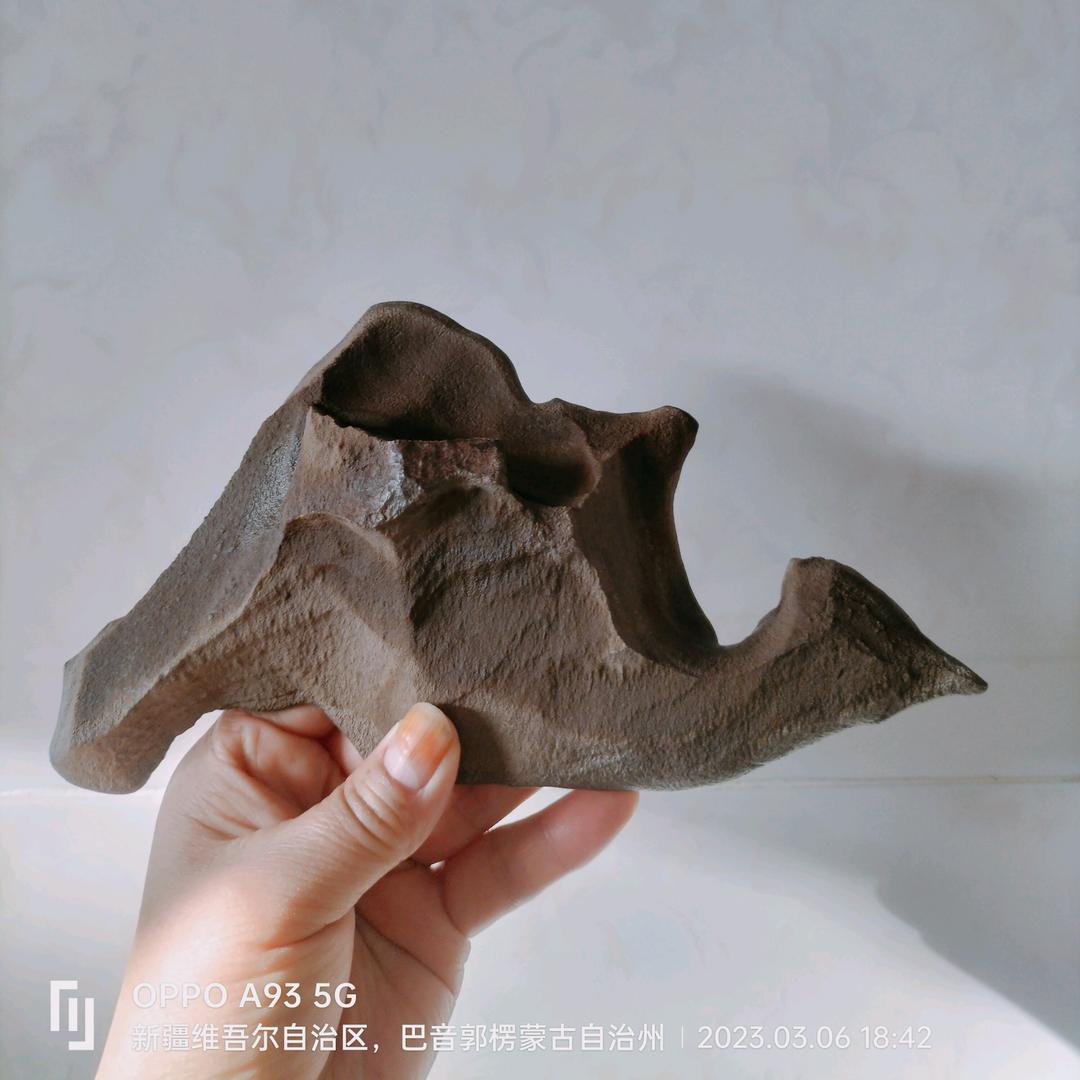 向日葵🌻户外捡石