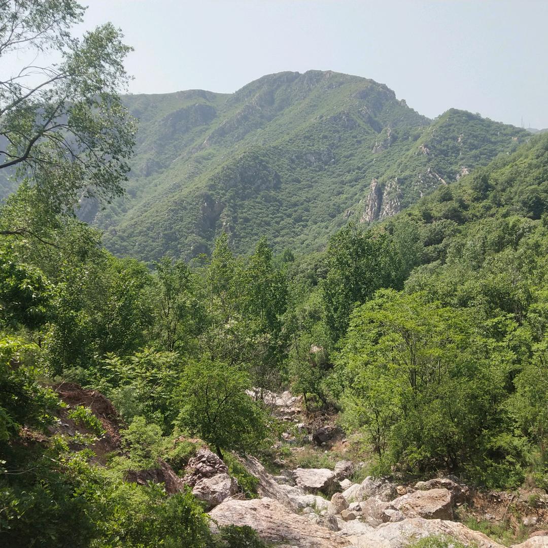 沃野