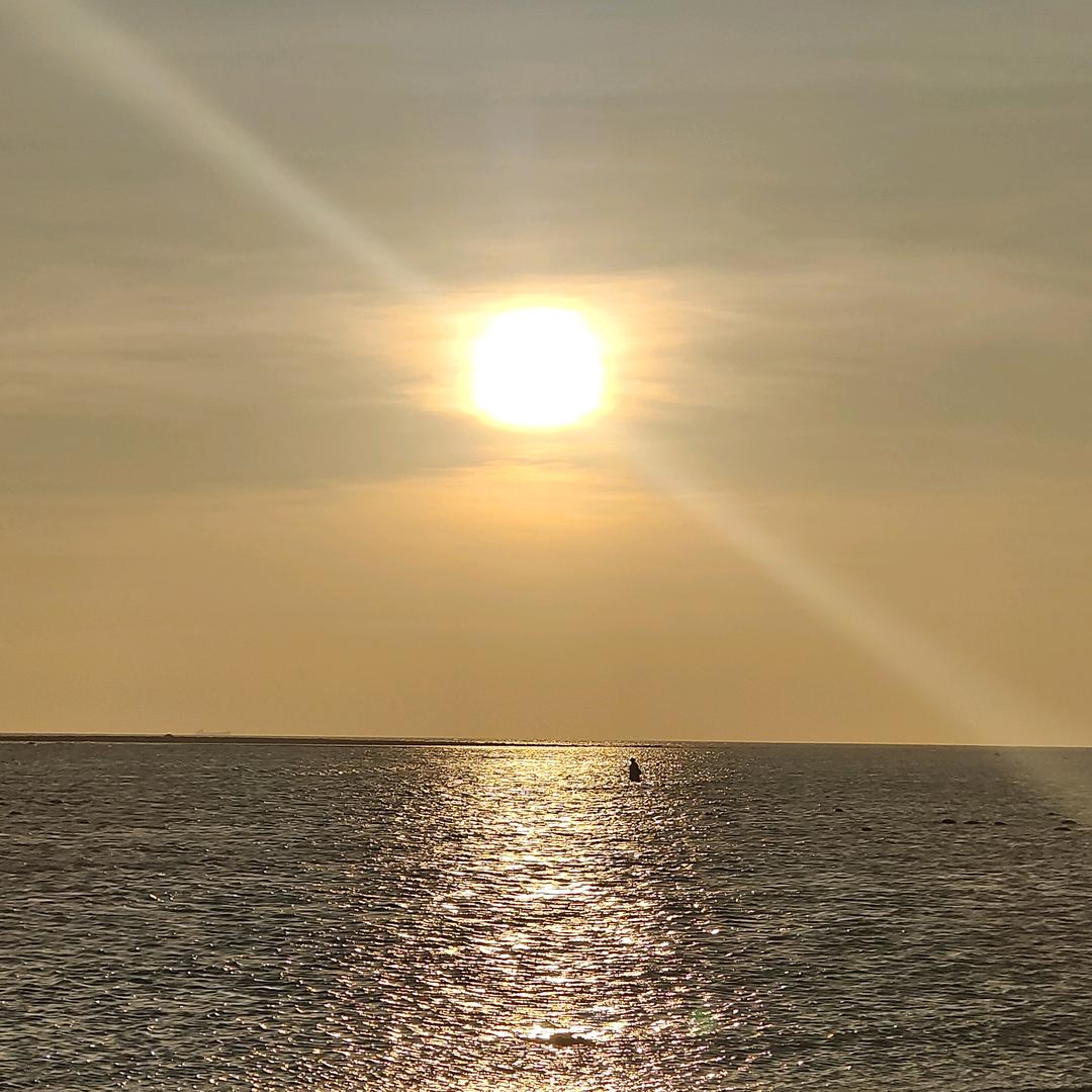 讲不完💋的故事