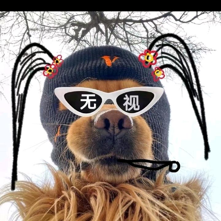 吴丶尘（三角洲代肝接单）