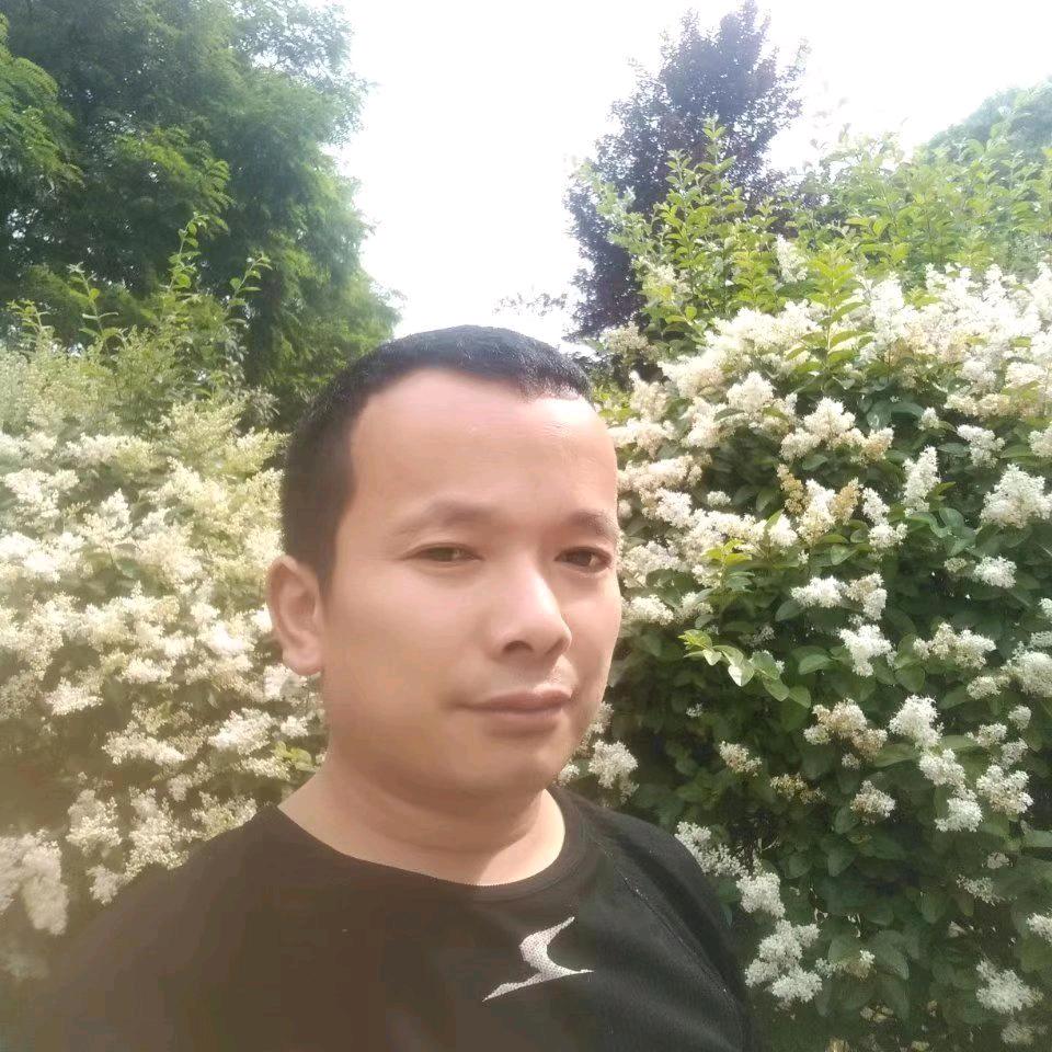 齐齐