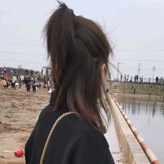 伊去人