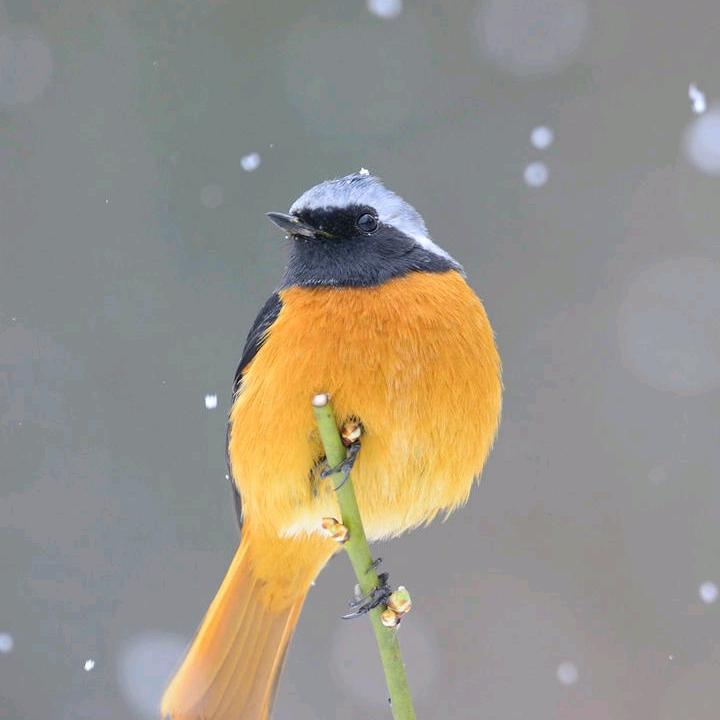 和