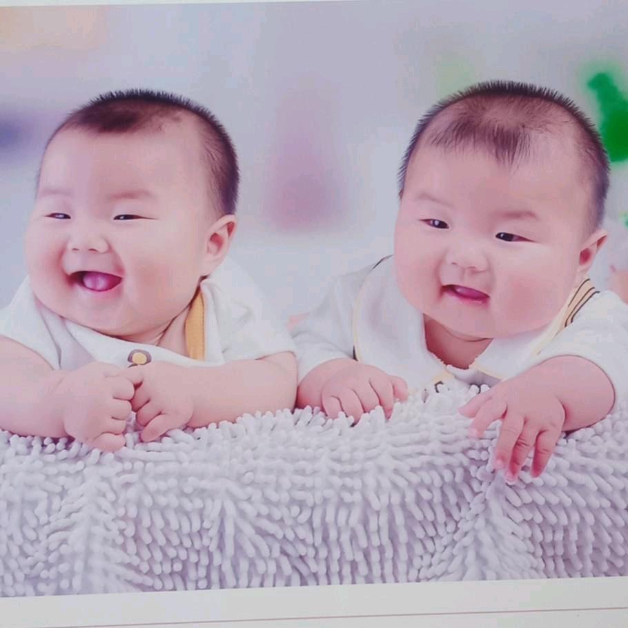 晨凯晨皓