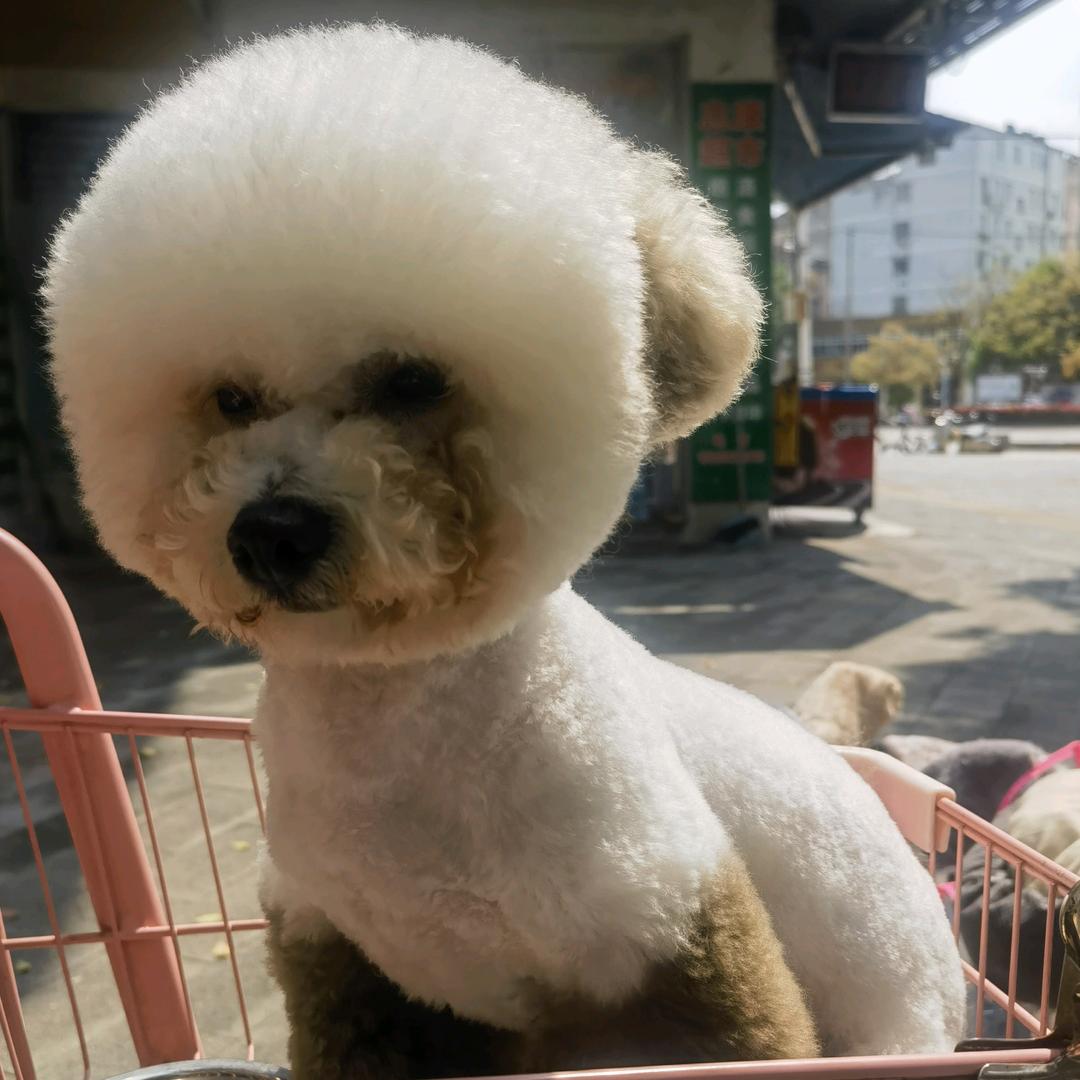隨心随缘