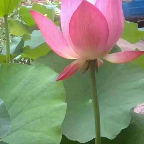 开开心心快乐每一天