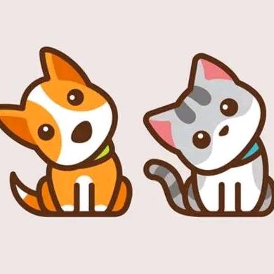 小杰宠物用品