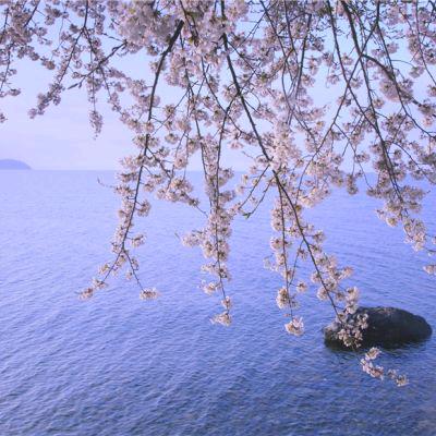 大美舞不停