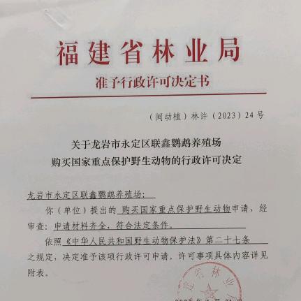 联鑫鹦鹉养殖