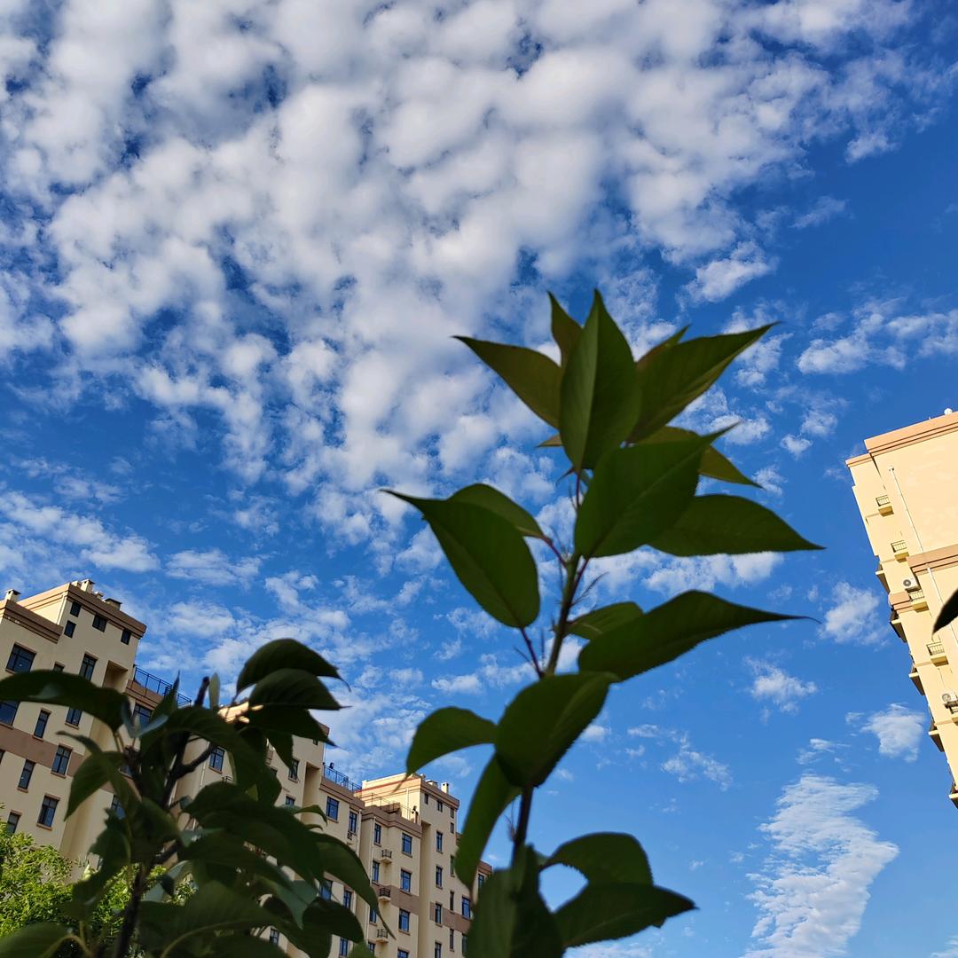 凡品茶舍～绿佳便利店