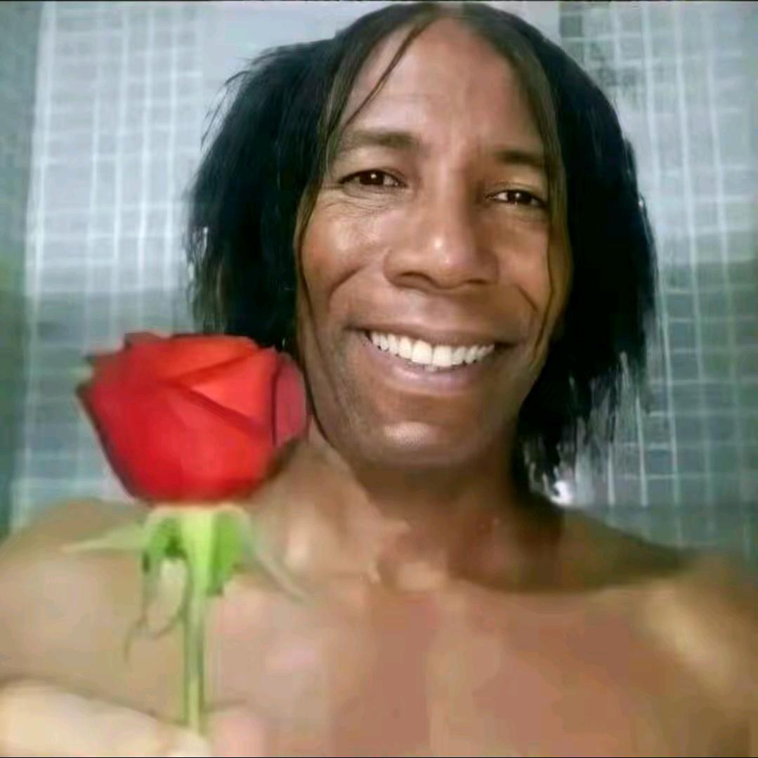 🌹 ㅤ