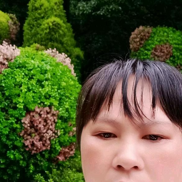 用户2468072044053