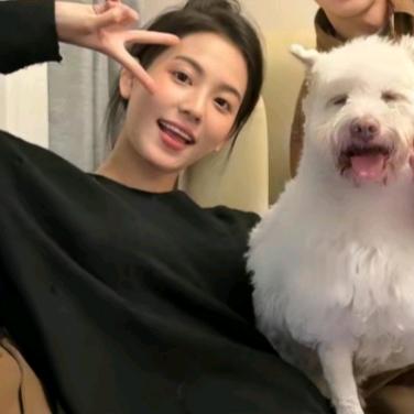 爱喝青梅绿茶.